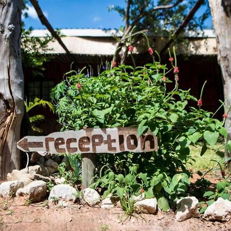 Nxabii Cottages Kasane Kültér fotó